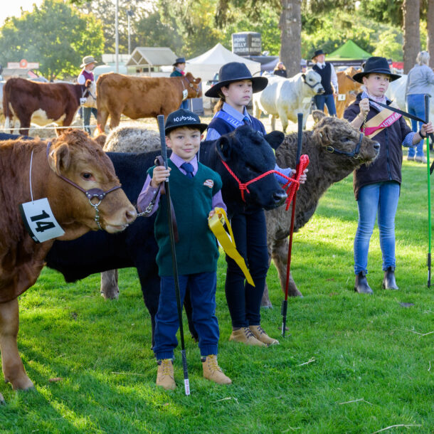 2024 Wanaka A&P - Cattle Judging-17
