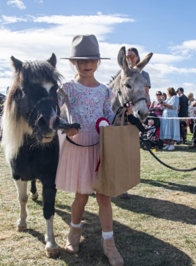 2025 Wānaka A&P - Dog & Pet Judging-22