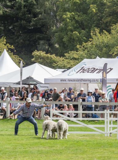 2025 Wānaka A&P - Dog Trials Final-10