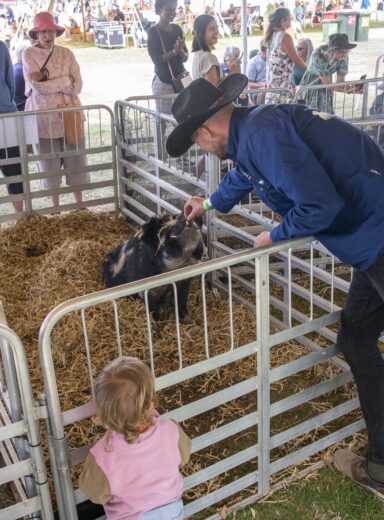 2025 Wānaka A&P - Farmyard-6