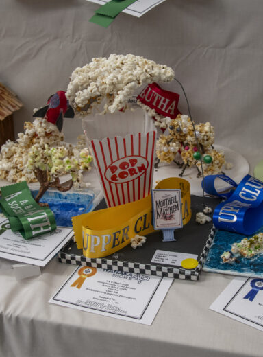 2025 Wānaka A&P - Home Industry-10