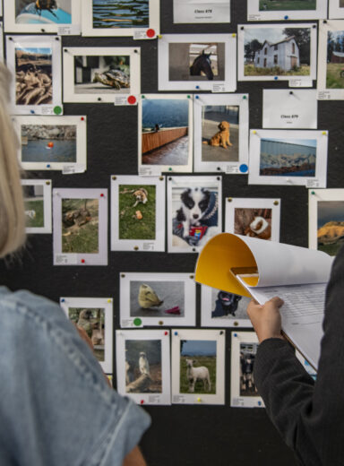 2025 Wānaka A&P - Home Industry Judging-16