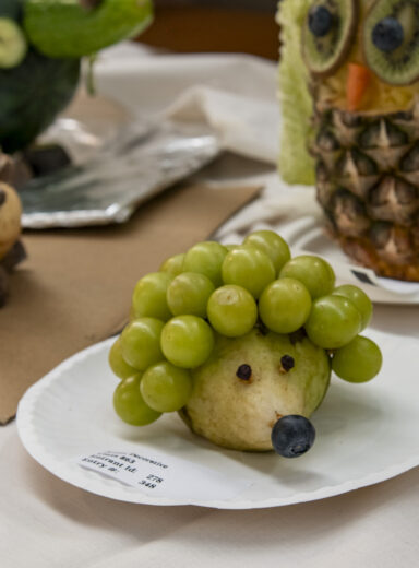 2025 Wānaka A&P - Home Industry Judging-48