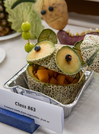 2025 Wānaka A&P - Home Industry Judging-49