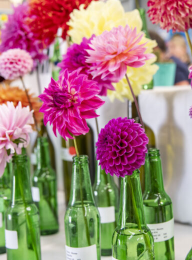 2025 Wānaka A&P - Home Industry Judging-61