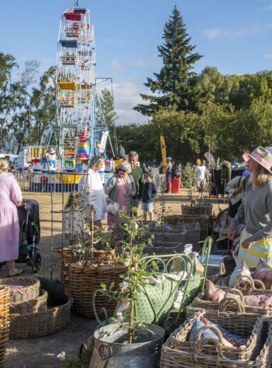 2025 Wānaka A&P - Show Atmosphere-129