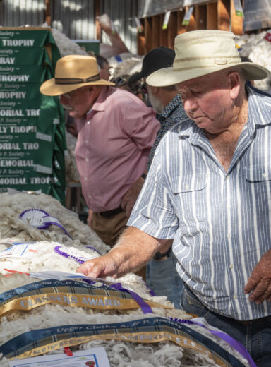 2025 Wānaka A&P - Wool Shed-13
