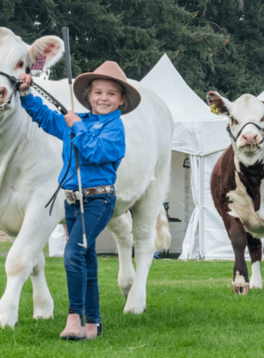 2504 Website Header (Desktop) (1)