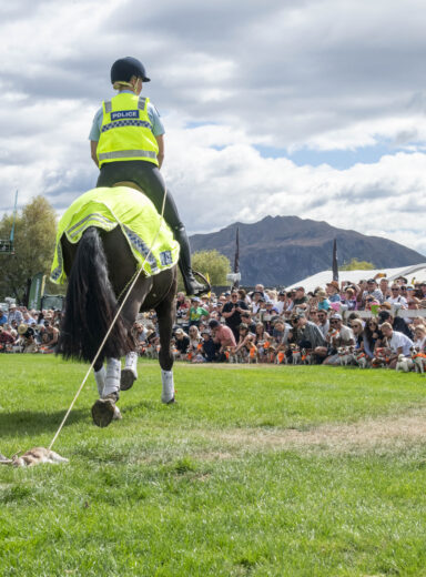 Ashleigh and Rua building anticipation during the annual Jack Russell Race