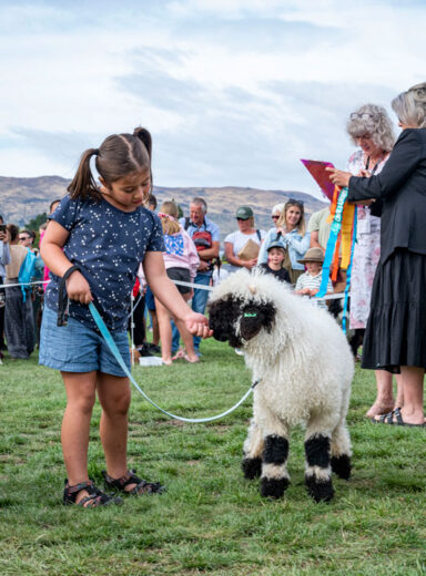 2023-03-11-Wanaka-A&P-Show---Pet-Judging-4