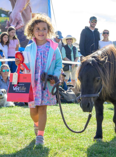 2024-Wanaka-A&P---Pets-Judging-11