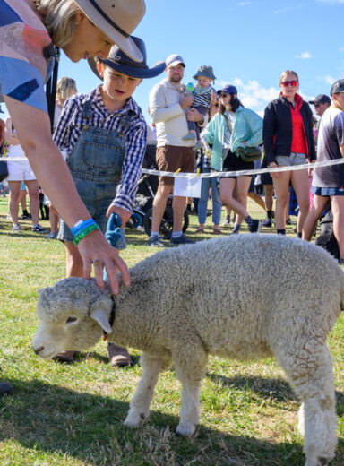 2024-Wanaka-A&P---Pets-Judging-2