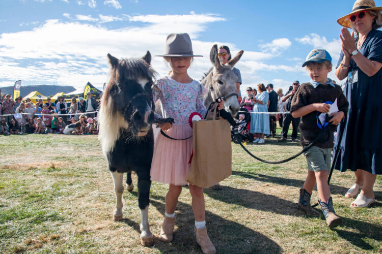 2025-Wānaka-A&P---Dog-&-Pet-Judging-22