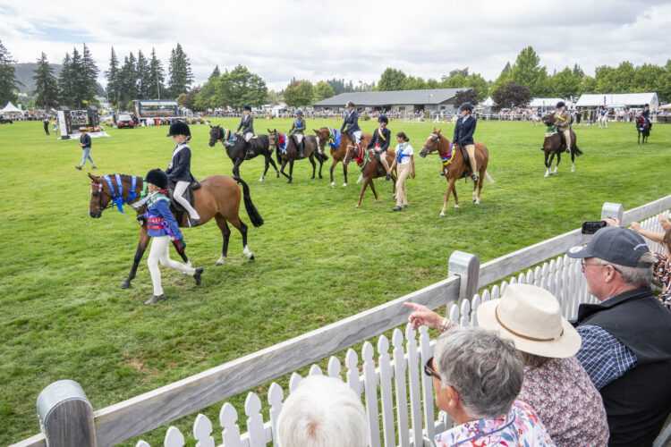 Competitions Coordinator