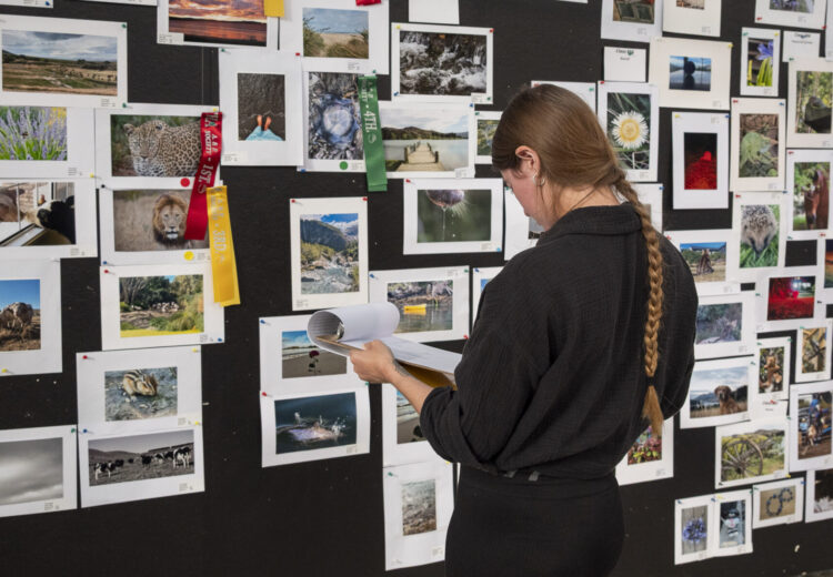 2026 Wānaka A&P Show - Home Industry Judging 39
