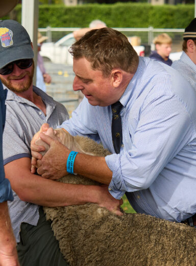 Wanaka A&P Show_25