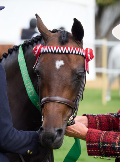 Wanaka A&P Show_35