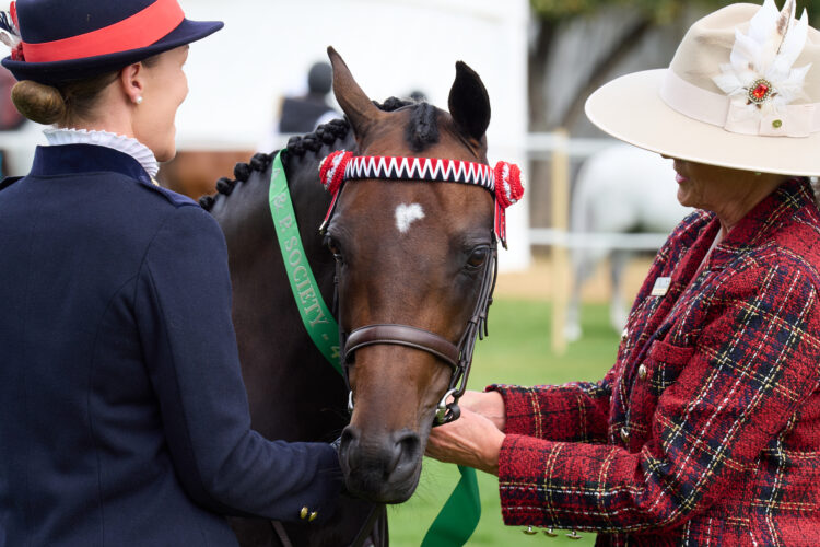 Wanaka A&P Show_35