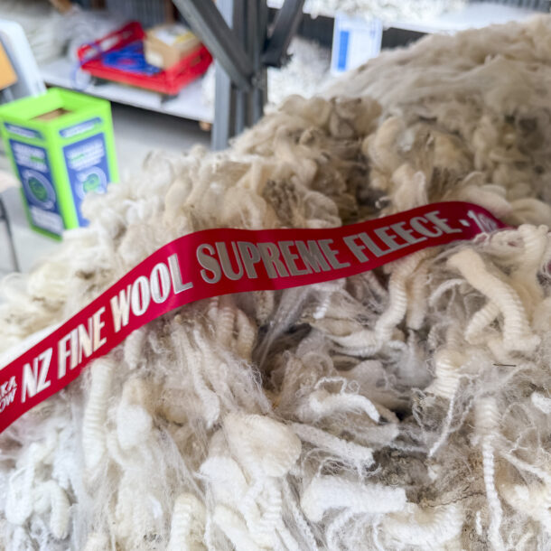 2026 Wānaka A&P Show - Wool Shed-10 (1)