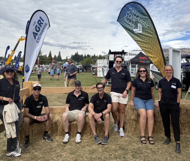 Gallaway Cook Allan Team